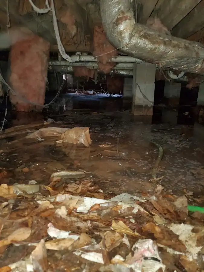 Crawl space flood assessment for Leak Detection & Repair in Nipomo